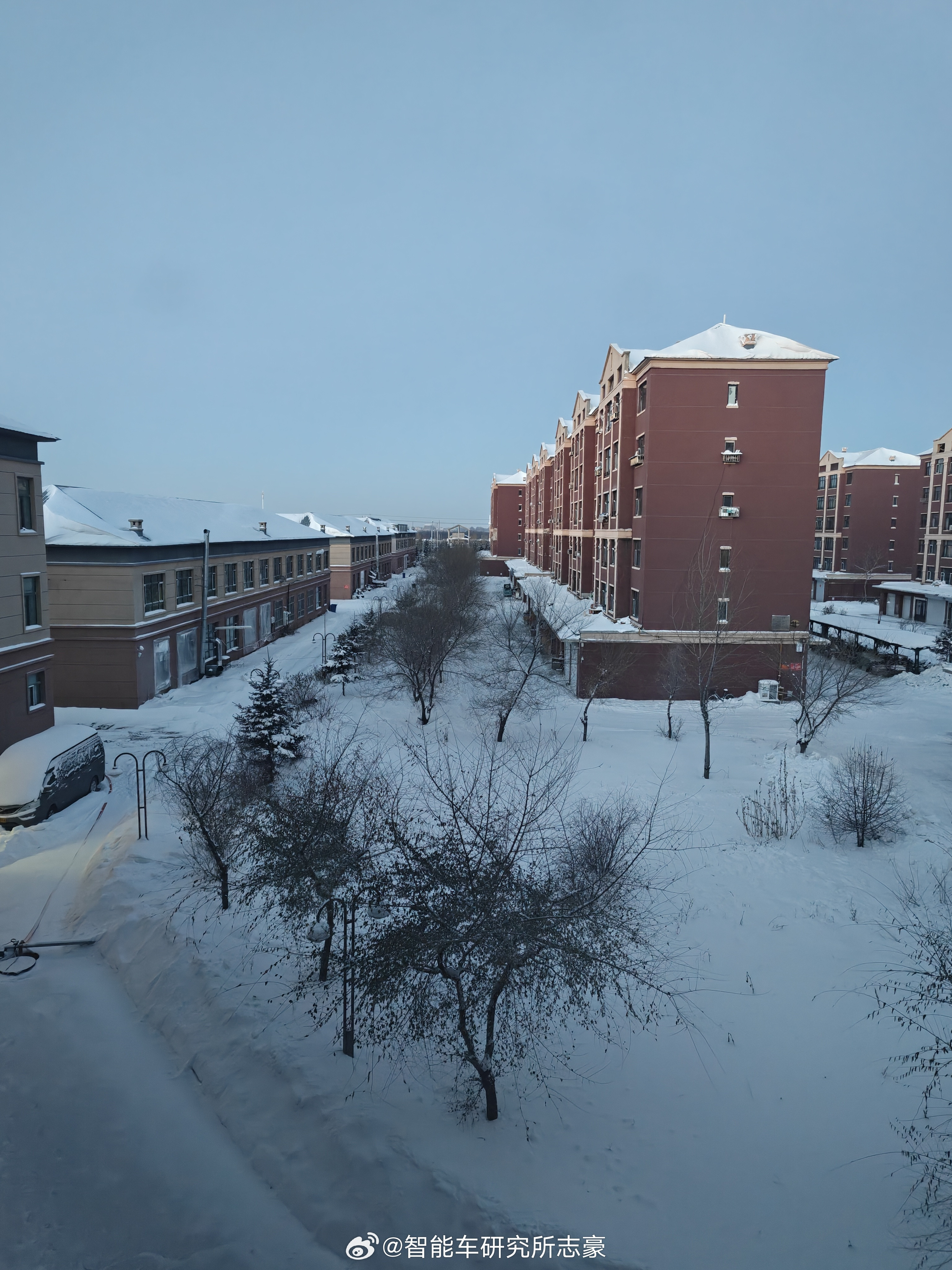 早上七点半，天微微亮这种乡村雪景，有点置身海外的错觉