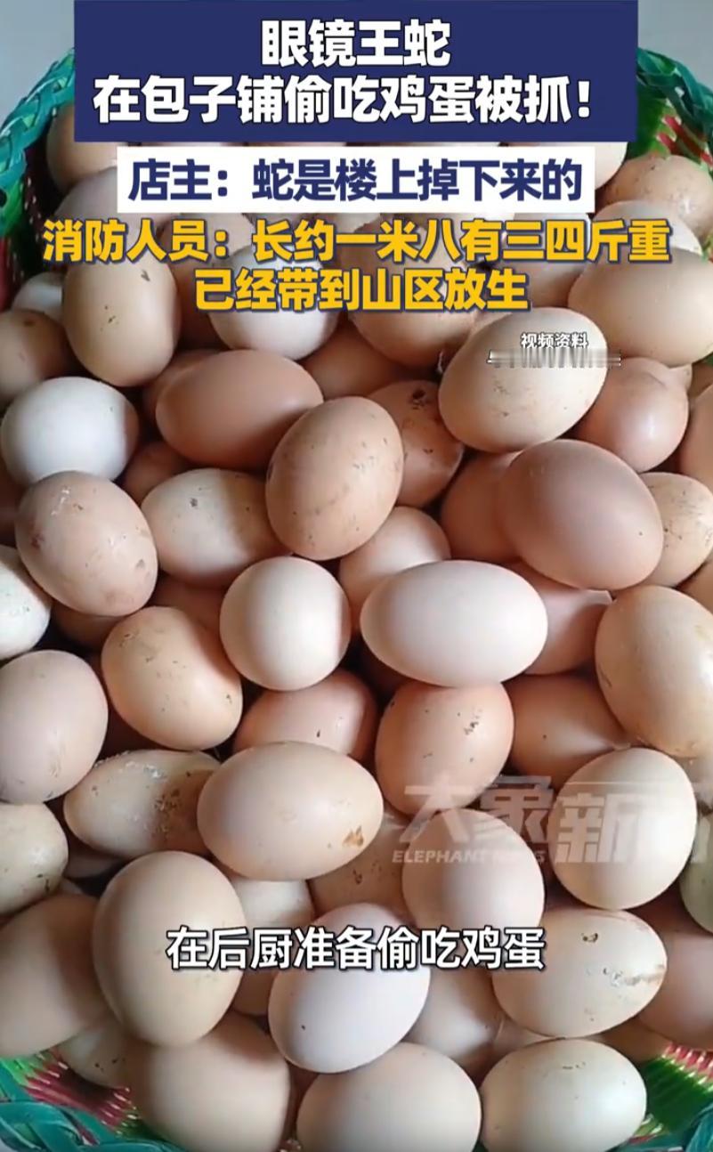 广东深圳，一家包子店的老板邱先生，那天跟往常一样，围裙一系，掀开后厨的门帘，准备