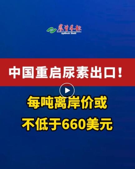 消息才刚刚传出，印度的化肥市场就像被热油泼了一样沸腾起来。全球都在盯着中国尿素出
