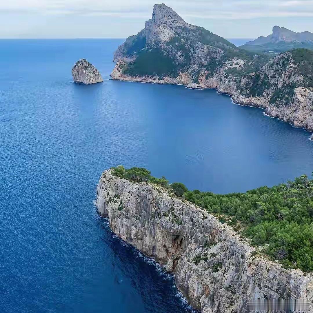 一湖清浅，满树温柔～