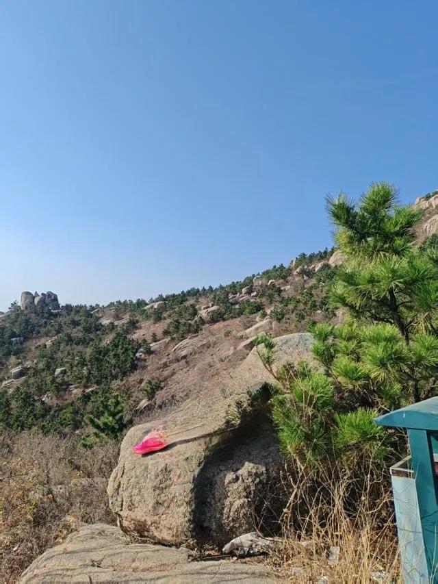 最近浙大的年轻博导引发了不少关注。像哲学学院的“95后”郭敬、江佳凤、洪峥怡，还