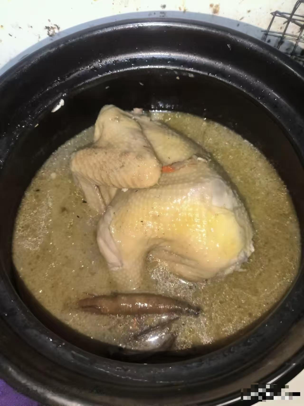 炖了2小时的鸡腿，竟遭全家嫌弃？卖相确实比较差，感觉像是没有焯水，鸡腿更适合红烧