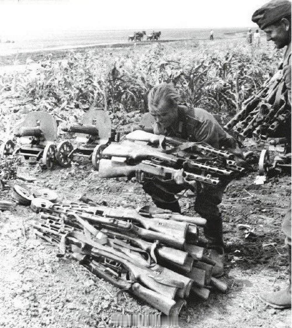 照片中的历史德国士兵收集战场上缴获的苏军轻武器。库尔斯克战役，1943年7月。