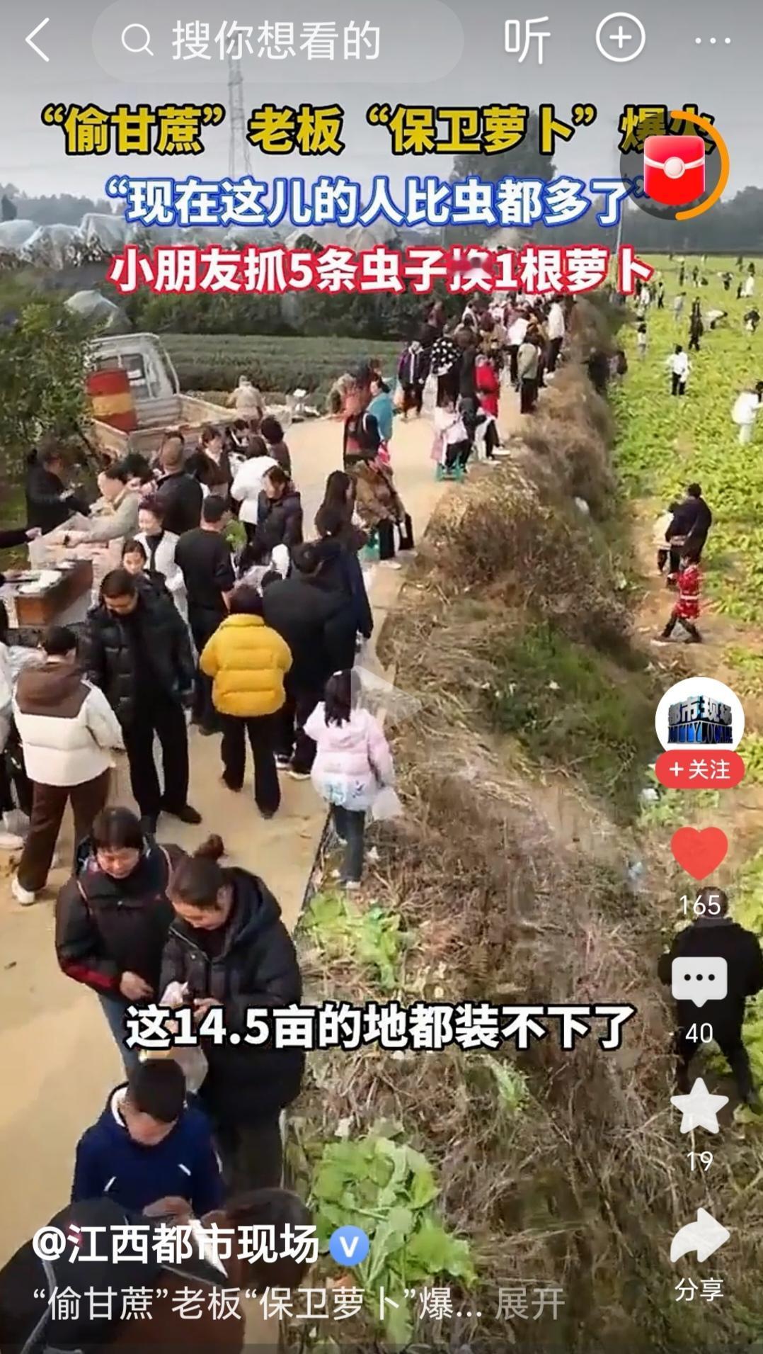 绝了，种萝卜还能这么玩！你还知道早先那个“偷甘蔗”走出圈的农场主吗？如今他又