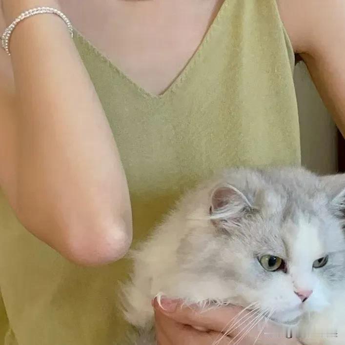 现在离婚的越来越多了，单身的越来越多了，有的女人离婚后，找个男人生活、却不跟