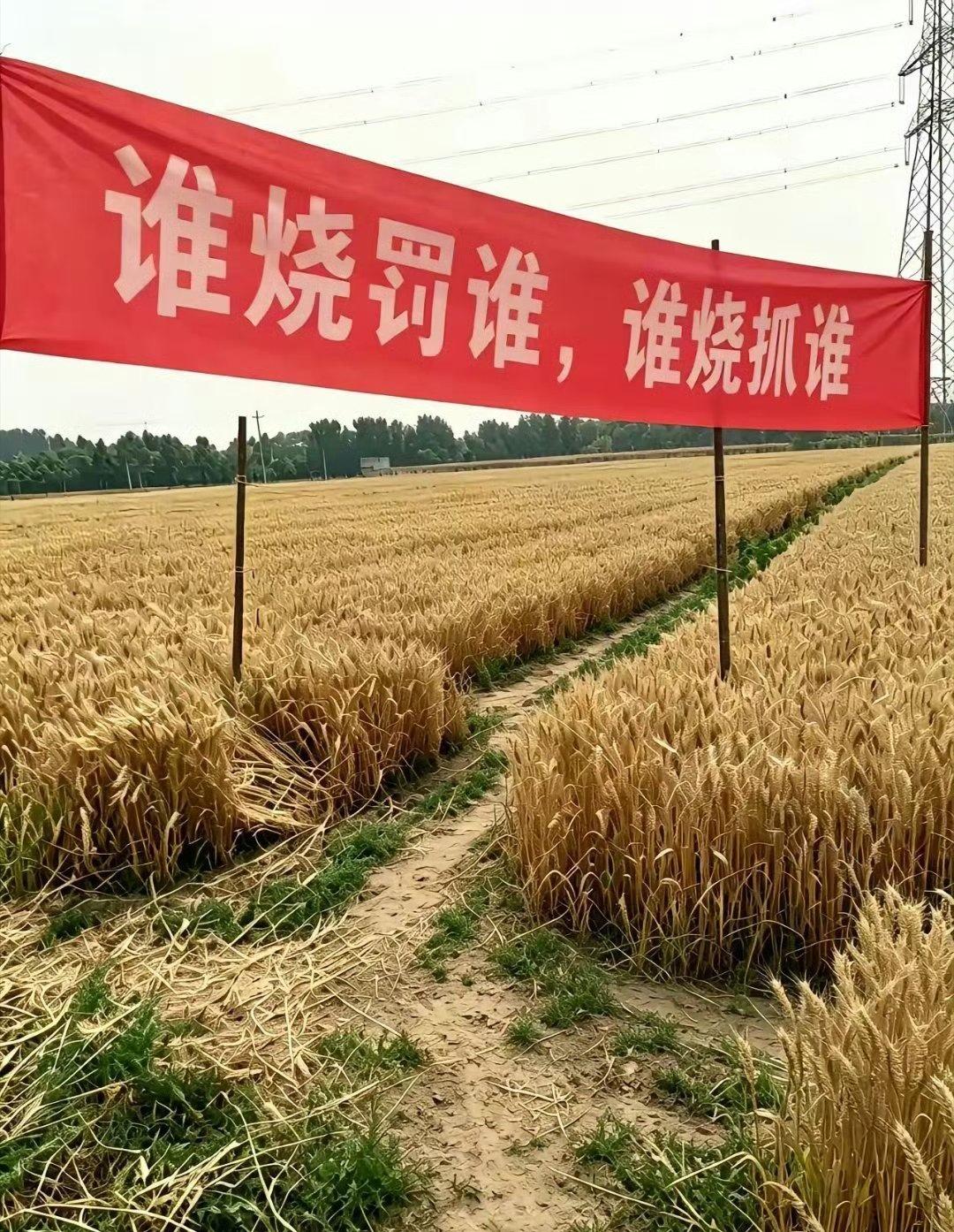 这横幅，应该从哪头开始念？