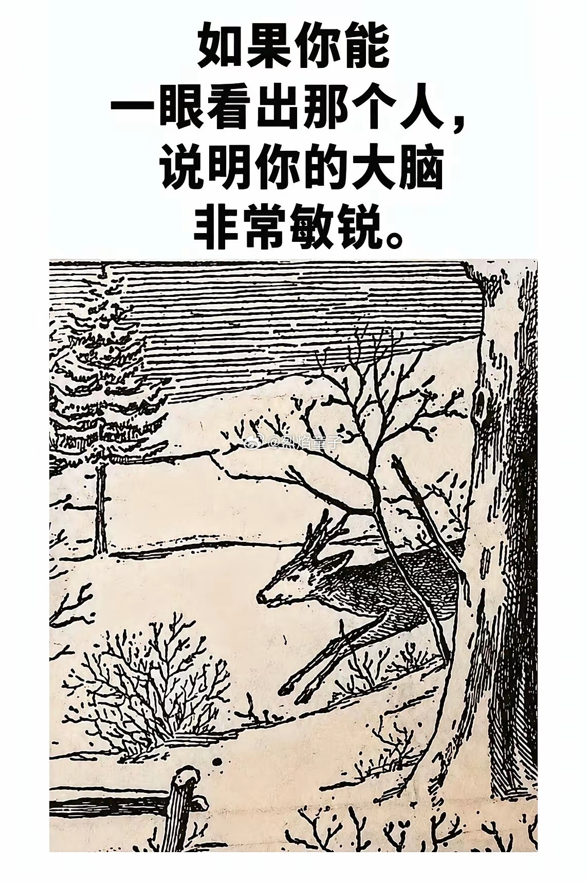 试试看，你的大脑还敏锐吗？​​​