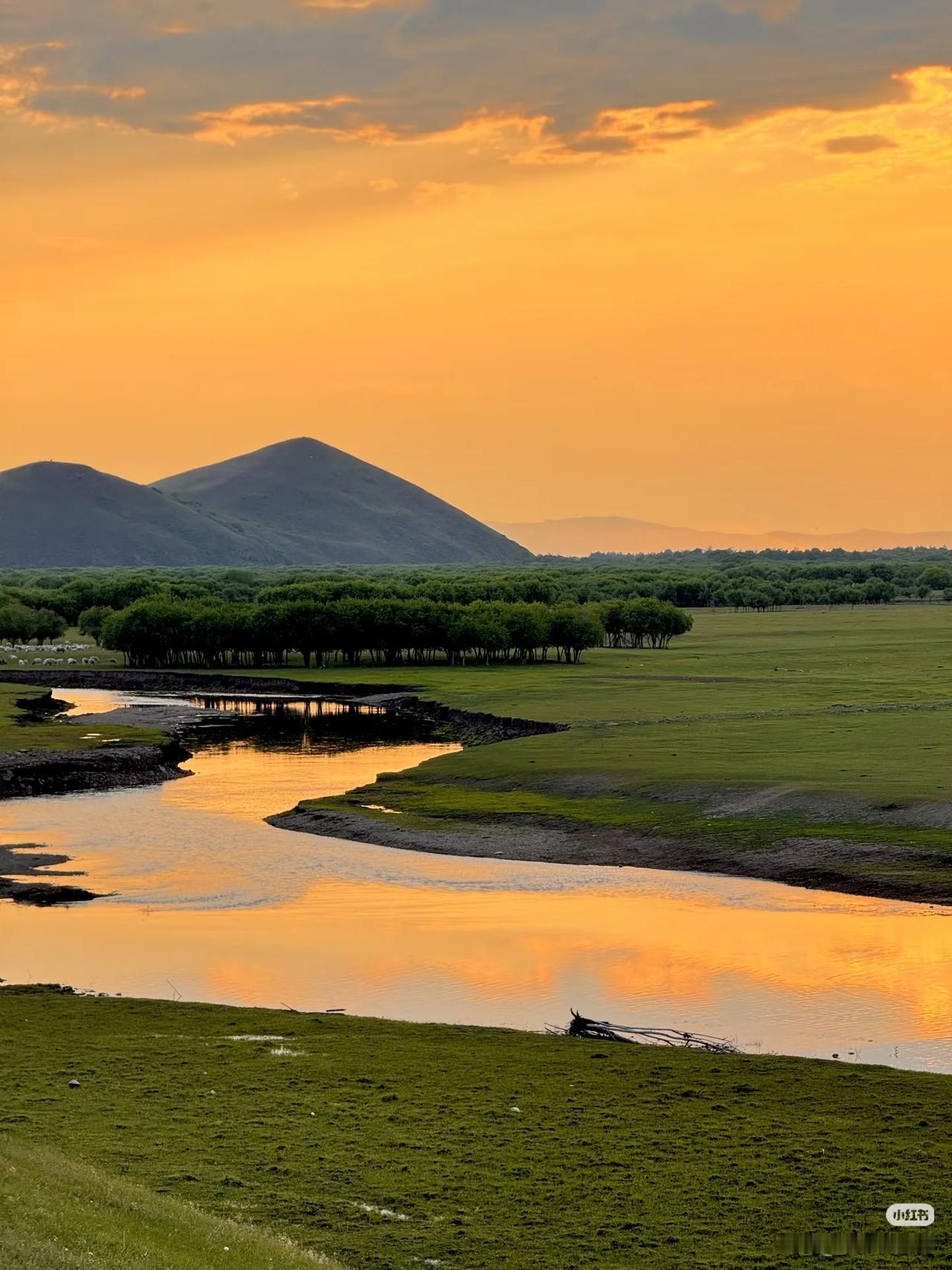 油画里的风景居然真实存在…初夏的呼伦贝尔是人间理想啊！俯瞰蜿蜒的莫尔格勒河