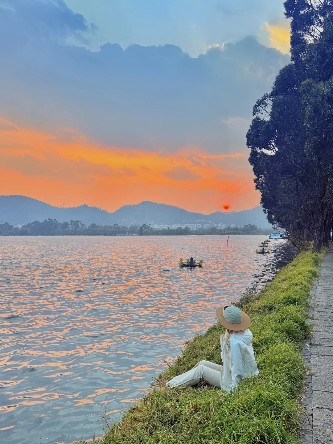 被狠狠惊艳到‼️昆明海上巨木森林步道🍃绝了