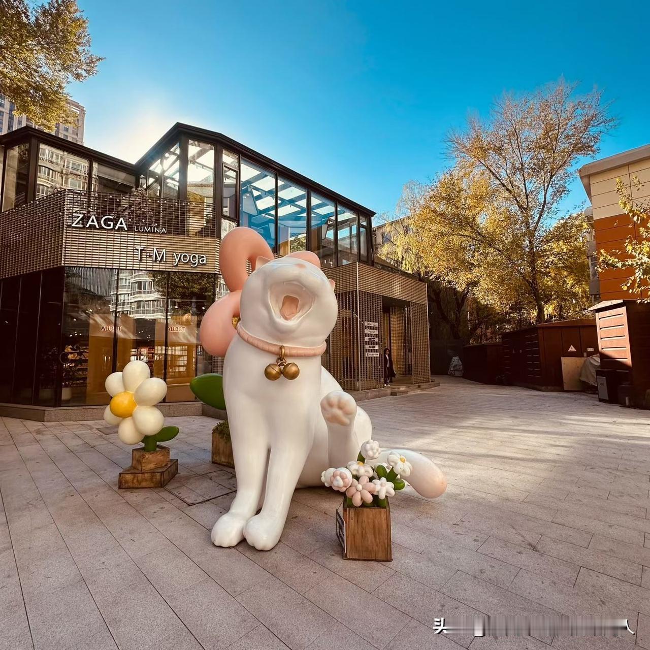 我有个朋友，自身条件真不差——家里经济殷实，自己多年打拼事业也小有成就，唯一的遗