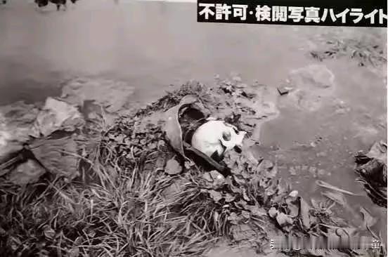 1938年2月，日寇拍摄的淞沪会战罗店战场遗迹，激战半年后荒草中扔处处可见