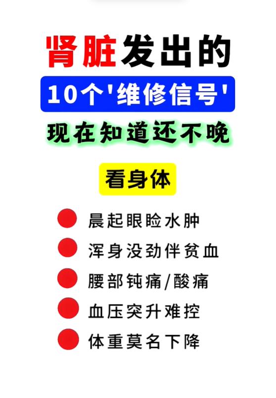 肾脏10个预警信号，早发现早调理