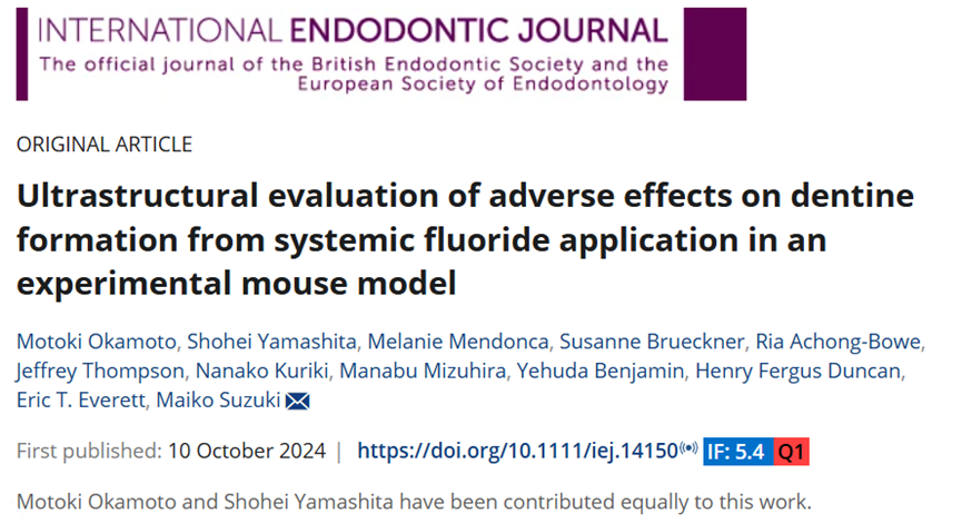 氟化物到底是护齿还是伤齿?Int Endod J|过量氟化物摄入或在悄悄破坏你的牙齿