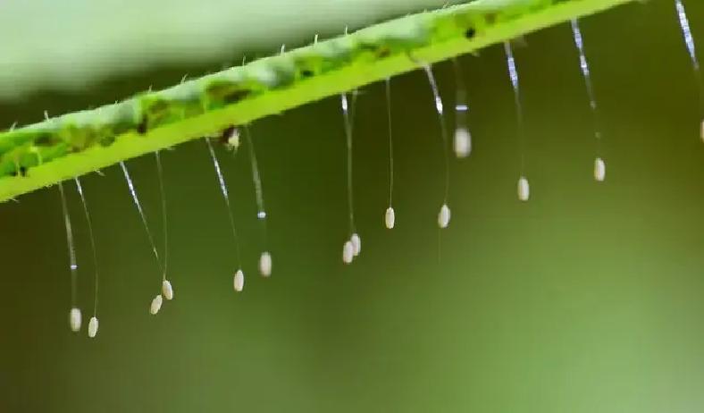很多人都有这种经历：刚喝完一杯水，屁股还没坐热，就得冲向厕所，感觉膀胱像装了弹簧