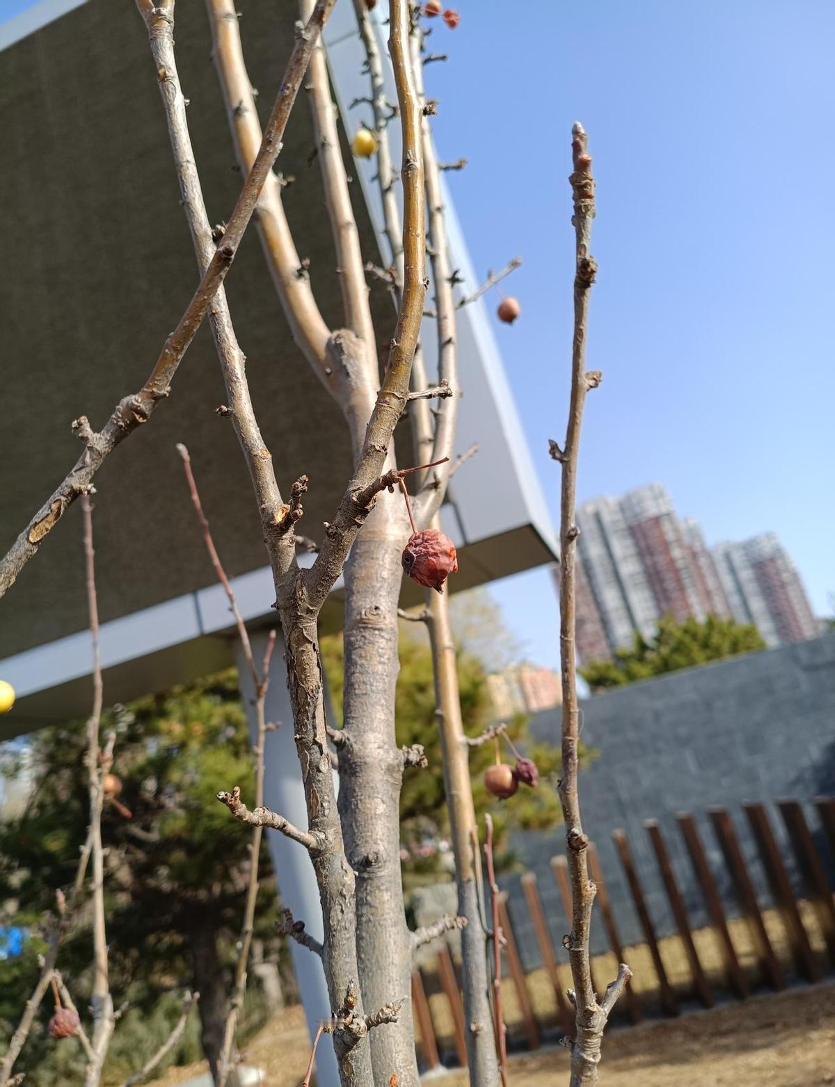 简历发出去像石沉大海，面试邀请却遥遥无期。这不只是运气差，而是现在找工作的人太