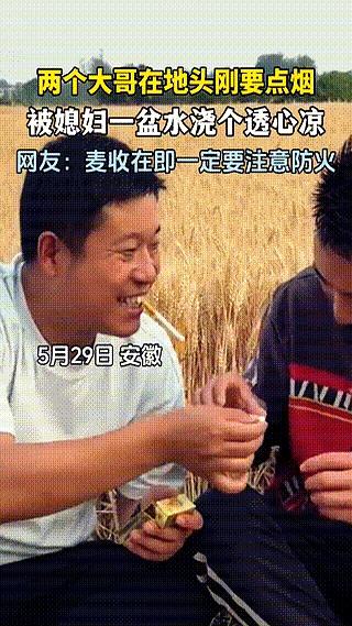 地里俩男人刚想蹲下来抽根烟，结果下一秒，直接被媳妇一盆水浇了个透心凉。换谁都得