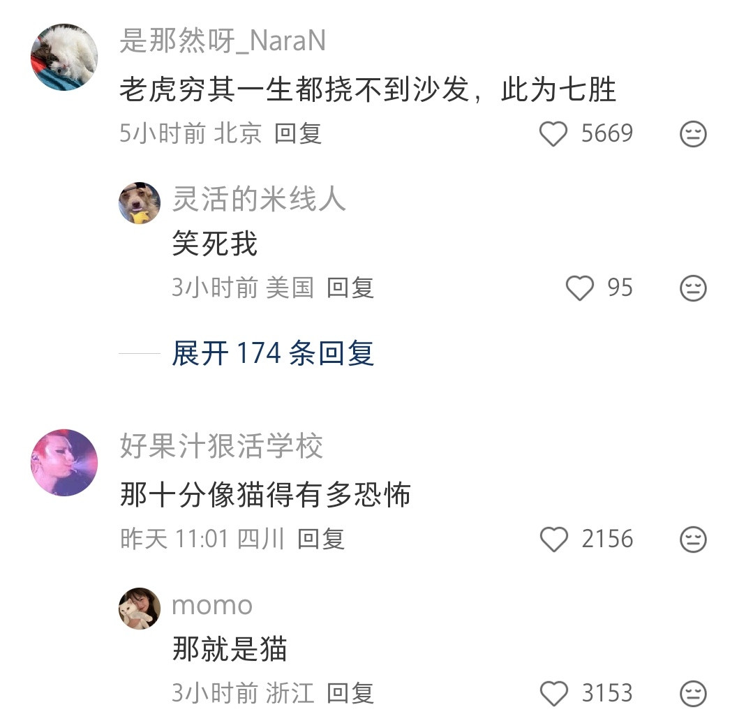 老虎🐯：你们觉得好玩儿吗，都过来让我尝尝
