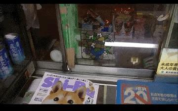 这个老板的笑容可以啊，生意肯定不会差吧？