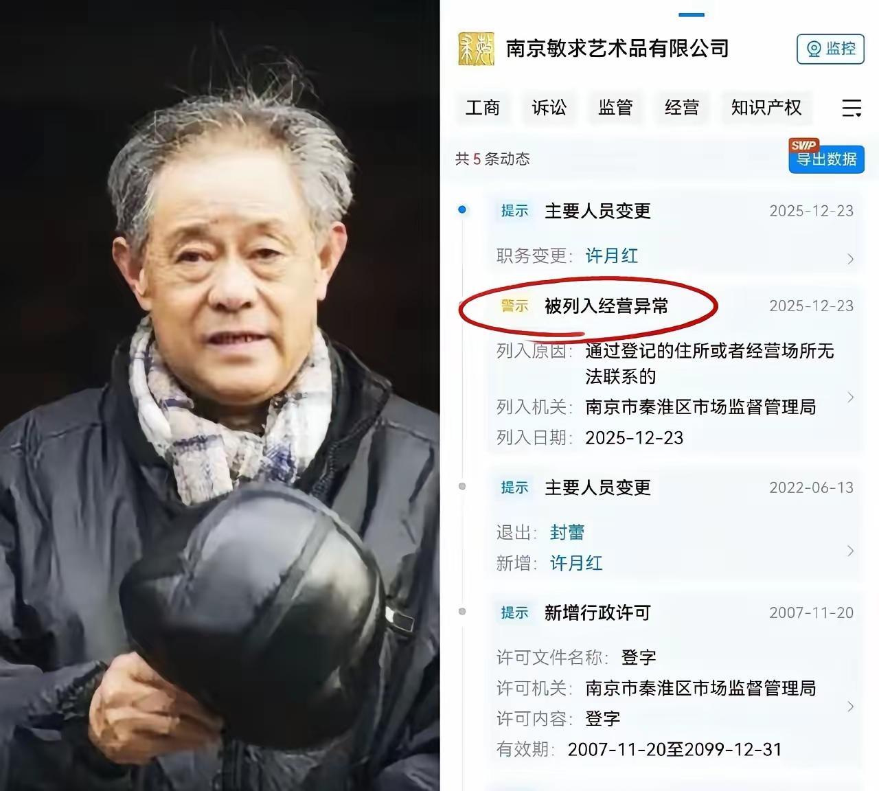 从南博前院长徐湖平的“难圆其说”到他儿子徐湘江的南京敏求艺术品有限公司的“光速”