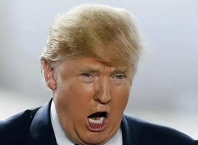 特朗普的阳谋：打造以美国为核心的美洲经济体。一方面是将加拿大、墨西哥纳入到美国的