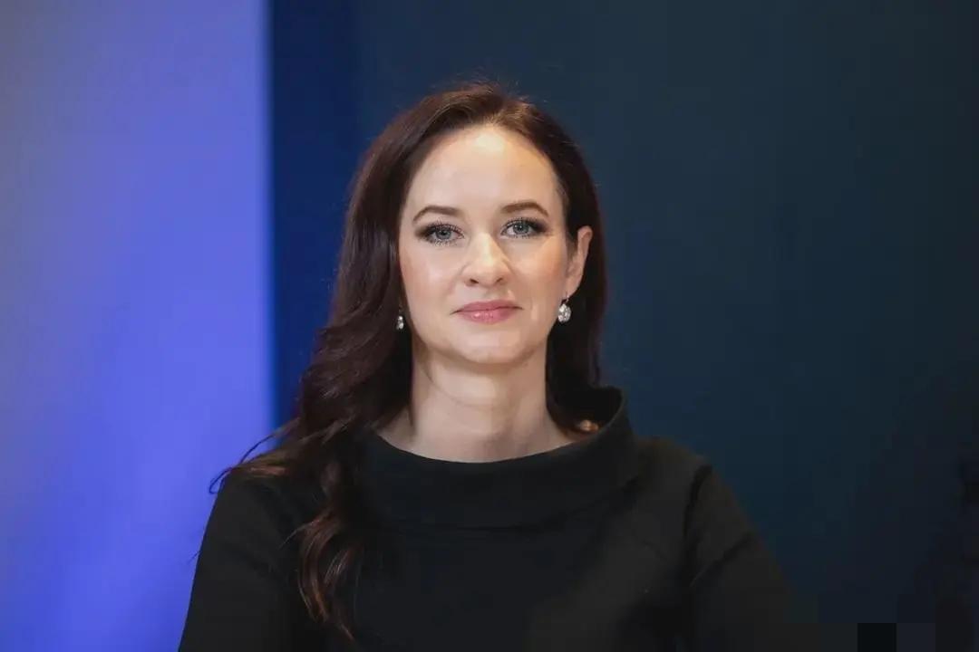 又开始作妖！立陶宛正式宣布了宣布禁止使用中国的零件，涵盖风能与太阳能设备领域