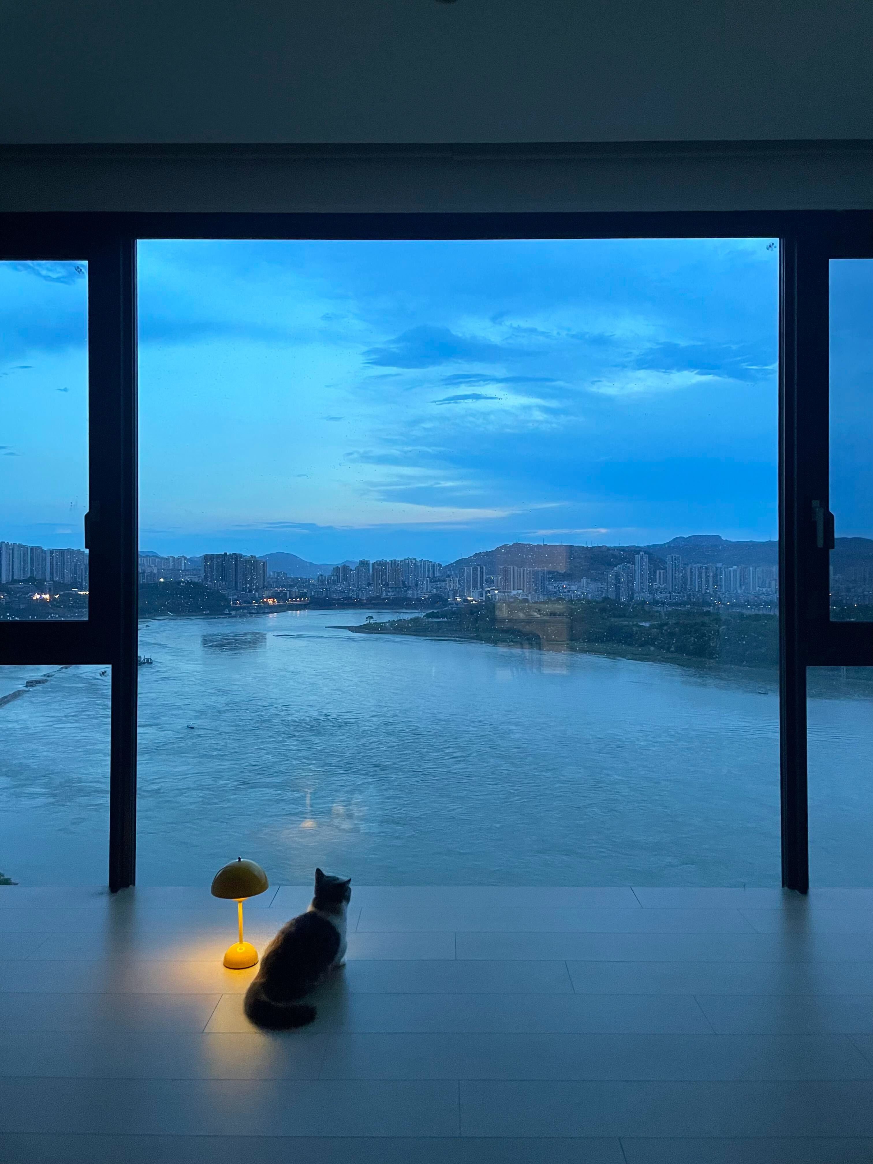 傍晚19:00的家，小猫在窗边。​​​