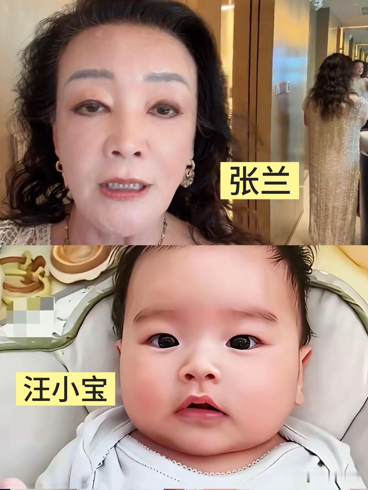 我敢说，现在全网最乐呵的人，就是马筱梅了。直白一点说，近水楼台先得月，何况