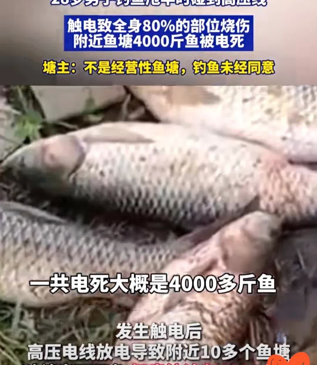 人在家中坐，祸从天上来！广西桂林一男子偷偷去别人鱼塘钓鱼，结果触电受伤还