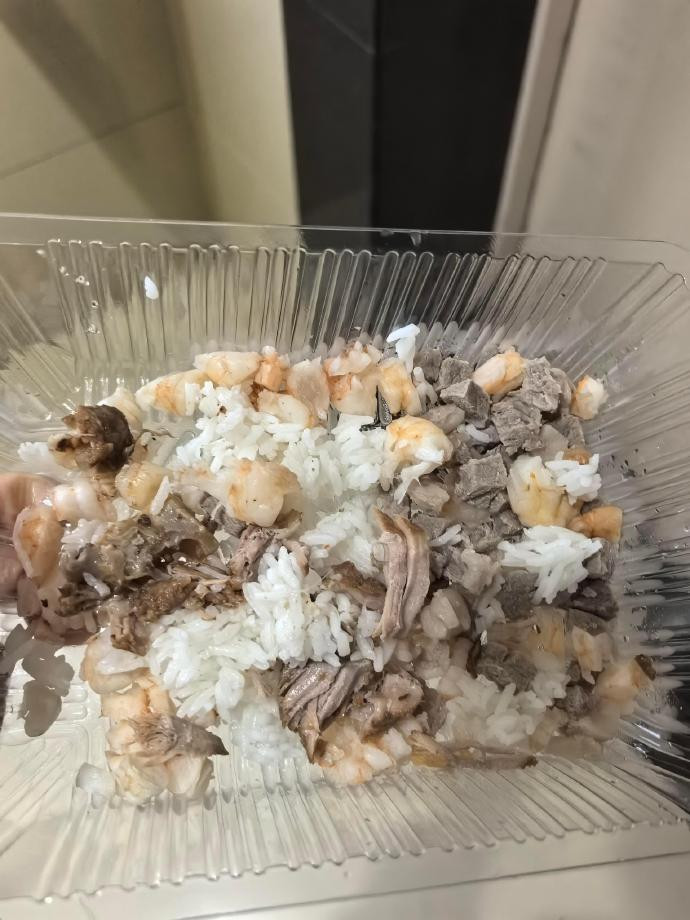 给流浪猫喂饭它怎么不吃？​​​