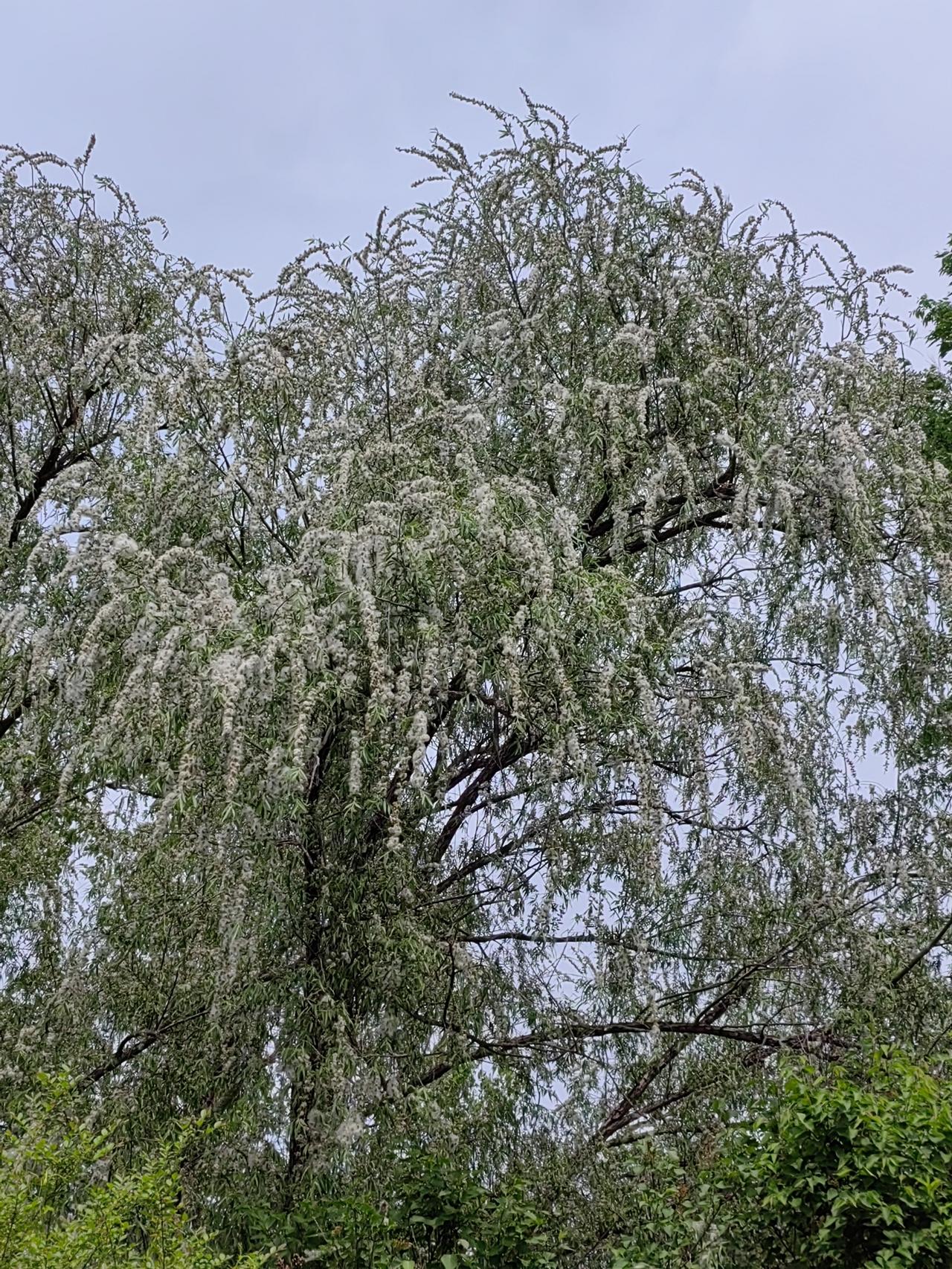 《宋史》记载了这么一件“趣”事：北宋因为联合了后金，童贯率军征讨辽国燕京，任命蔡