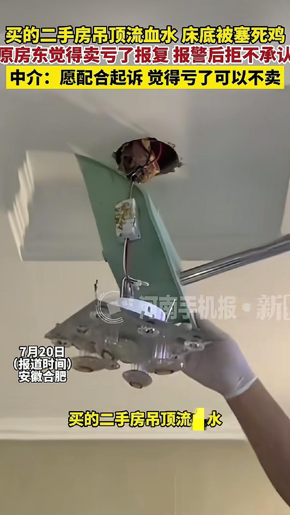 女子通过中介买了套二手房，合同写明家电全留。原房主签约后反悔，私自拆走了家电，杨