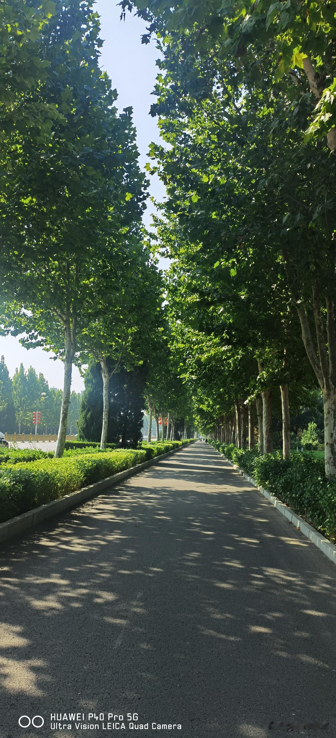 今后不懂教学的人不能当中小学校长了！日前，中组部、教育部修订印发《中小学校领导
