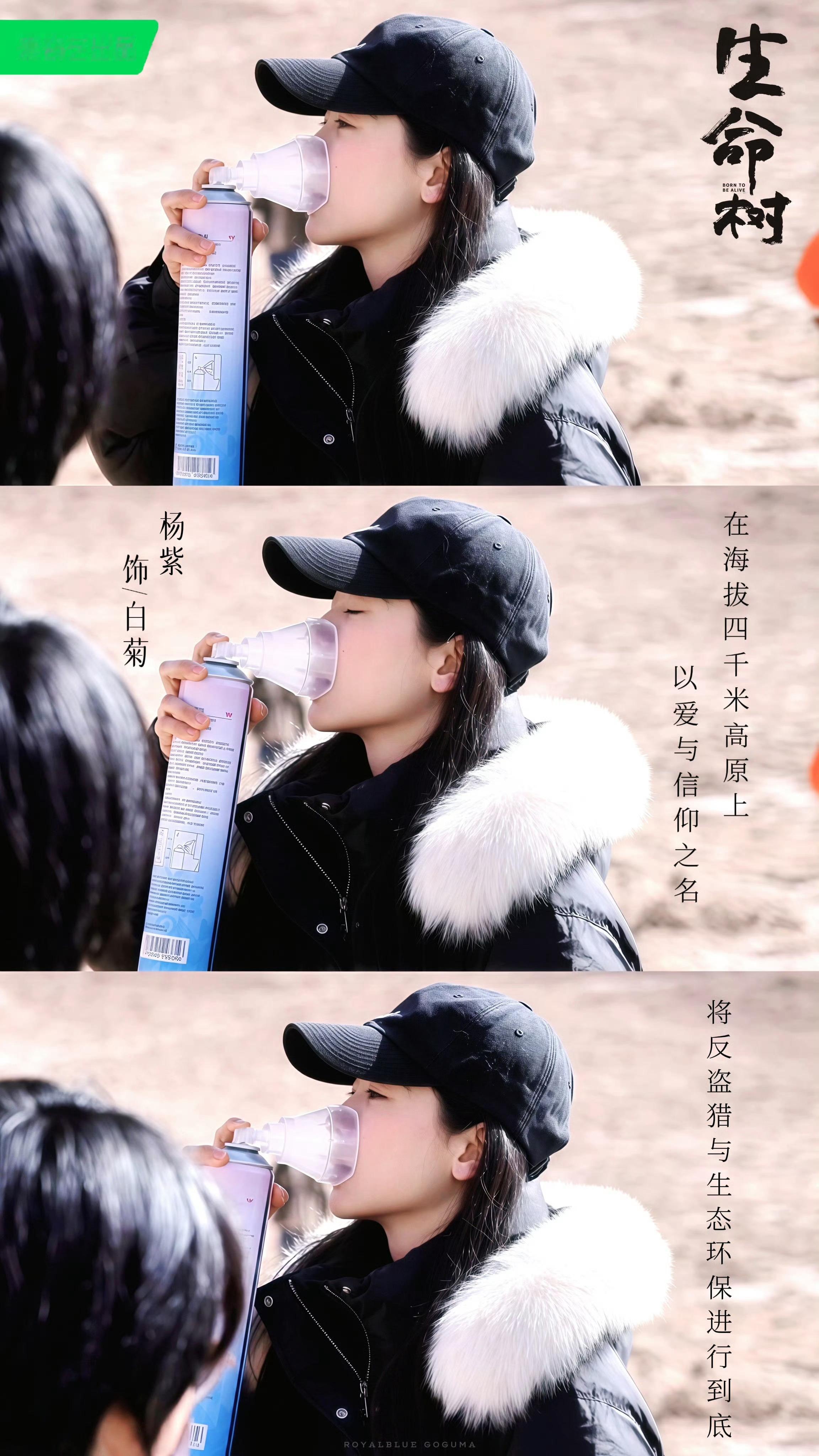 杨紫杨紫高原吸氧[比心]杨紫白菊愿《生命树》剧组，拍摄顺利，平平安安。