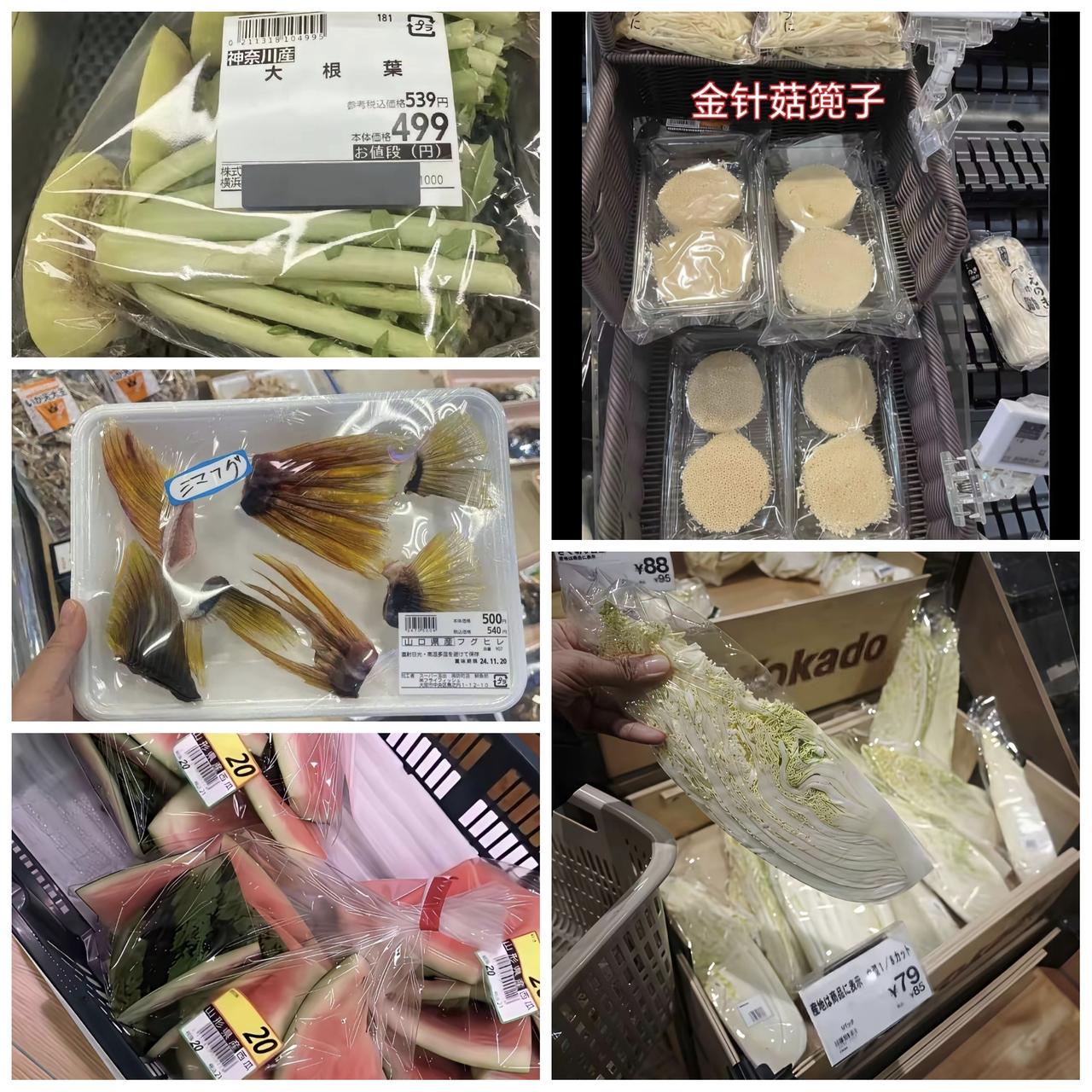 ✨日本想赌国运，但是没有筹码✨🐼2026年是日本历史上国运衰退的一年。1