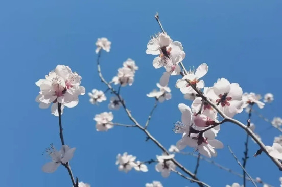 水声工程专业，因为这个专业开设的学校不多，所以就业特别好，每年毕业季，基本都能签