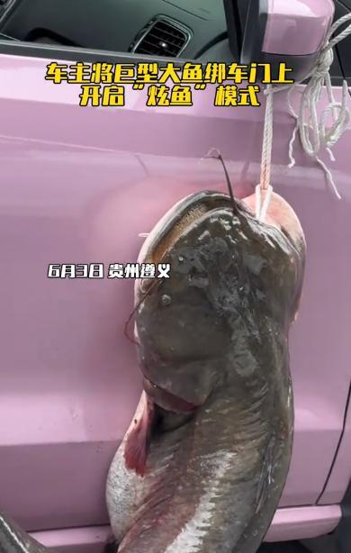 “这就是命啊！”6月3日，贵州遵义，一男子在老家鱼塘钓鱼时，竟钓上一条长1.2米