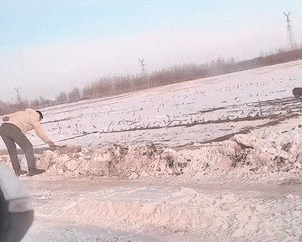 小狗看见男子在放鞭炮，冲过来就把点燃的鞭炮含在嘴里跑开了，男子连忙制止但是太迟了