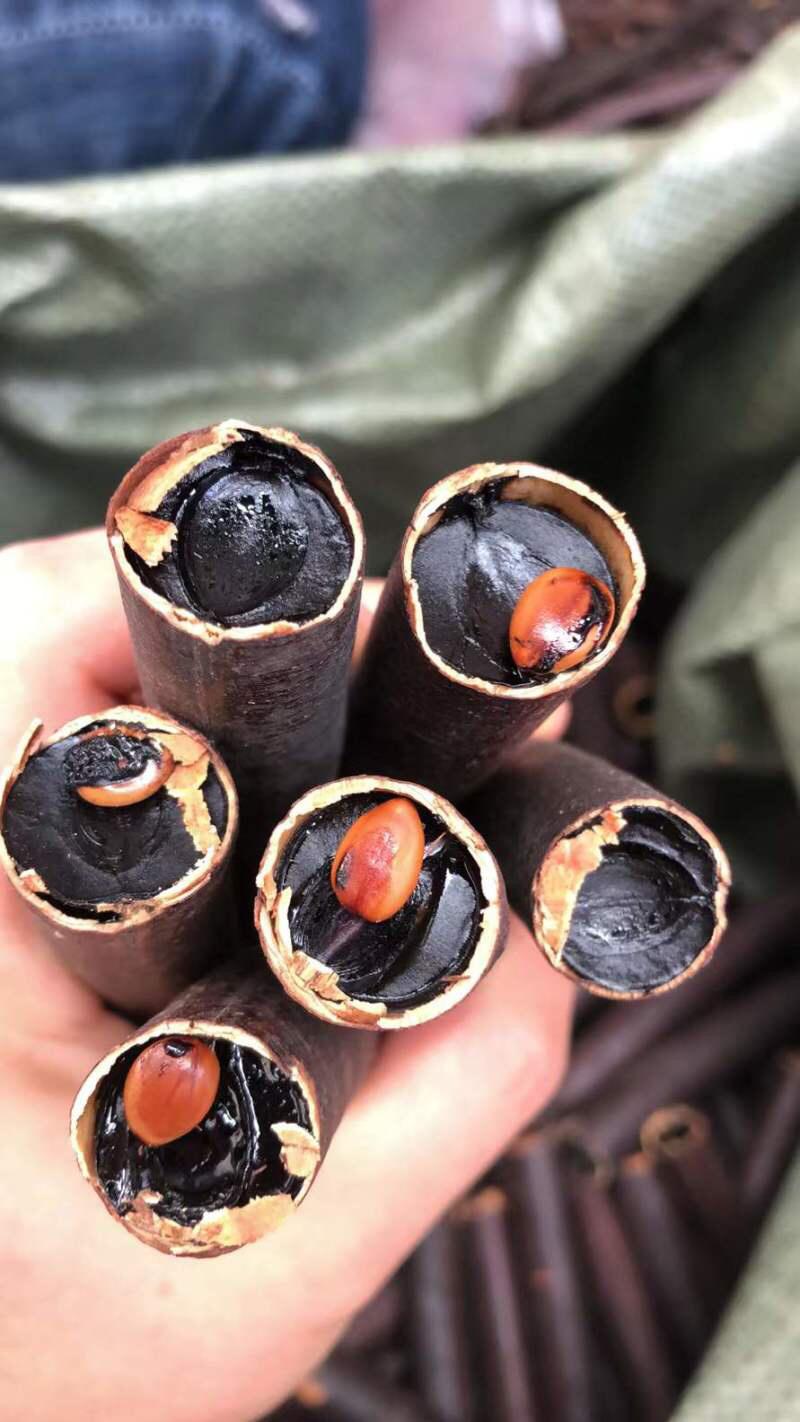 网上流传的便秘果能治便秘吗？便秘很痛苦，特别是中老年朋友，有些人一个星期才上一