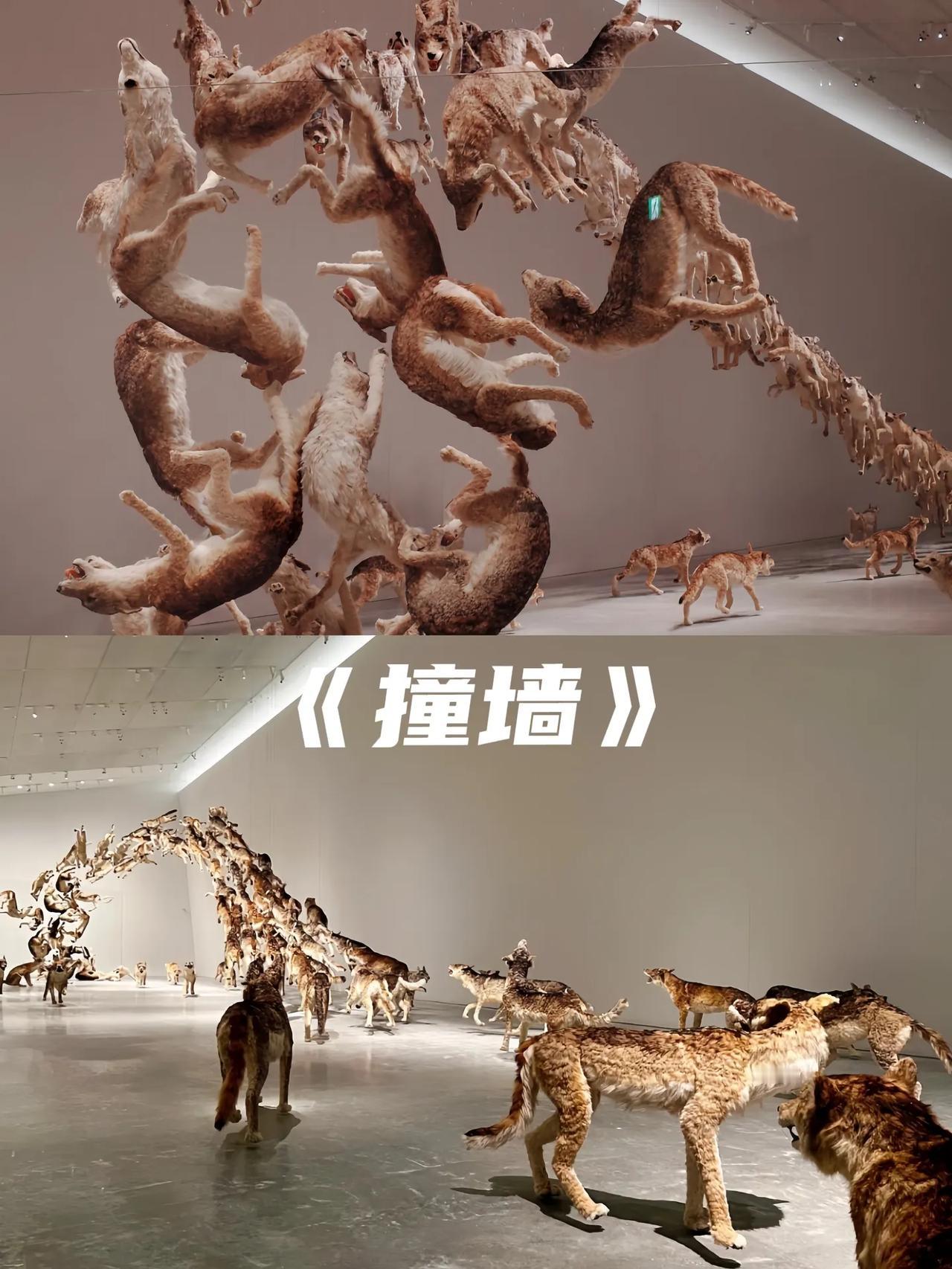 真的不能再查蔡国强了越查越不得了2006年的时候他用了99头狼搞了个作品叫