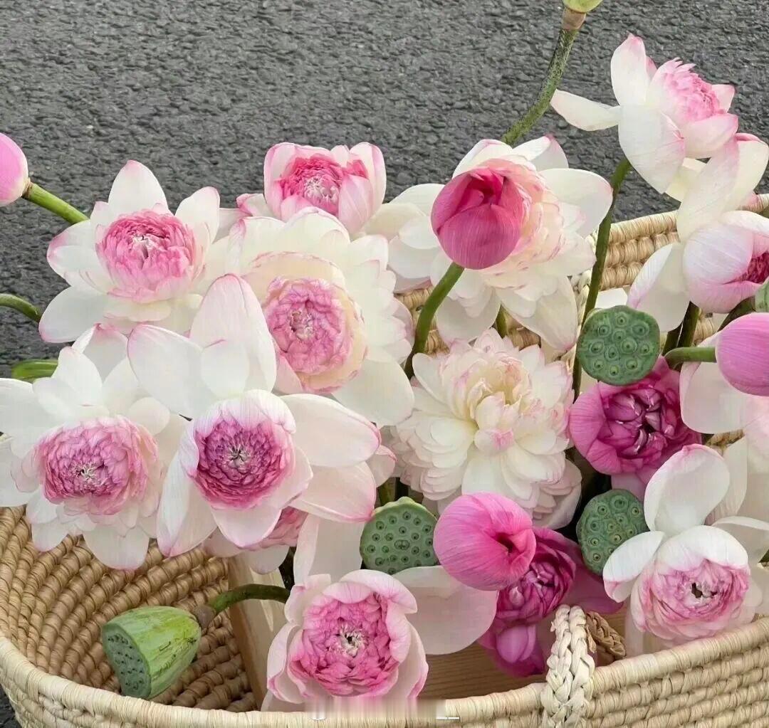 𝙒𝙚𝘾𝙝𝙖𝙩背景图𝙞𝙣𝙨风背景图推荐｜𝘚𝘩𝘢𝘳𝘦手机壁纸｜风景壁纸｜城市