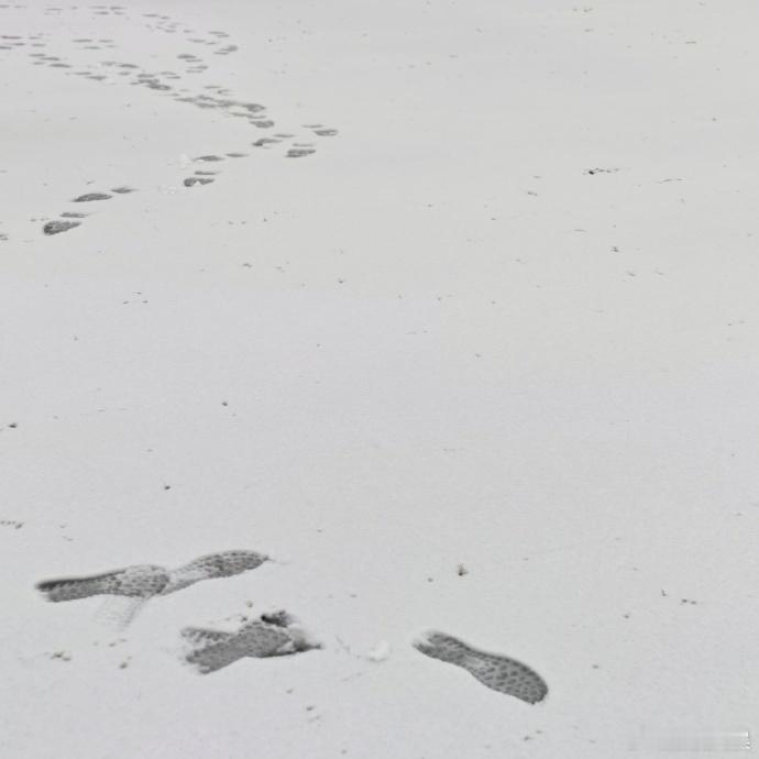 肖战晒出堆雪人成品照片，精心装扮的靓雪人吸睛十足，简约造型传递出满满的生活暖意。