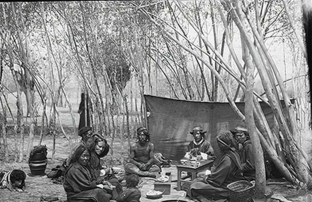 青稞是裸口感最差的粮食,没有之一。上世纪70年代,西藏地区曾尝试推广小麦种植,很