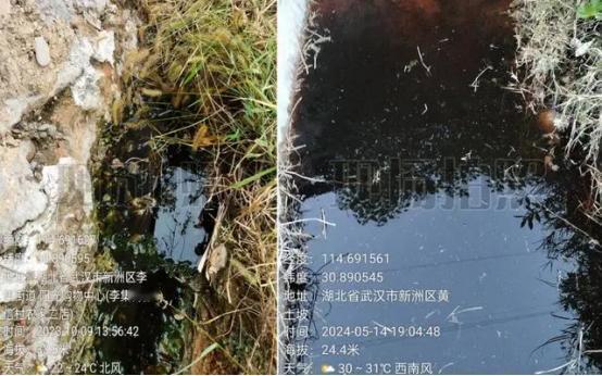 大象新闻爆出的，被称为癌症村的武汉黄土坡村，村里真正的情况，其实比统计数据还要严