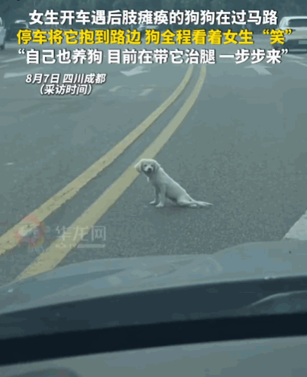 刻在骨子里的善良！四川成都，一女生正开车行驶在成都街头，突然发现前方马路中央有个