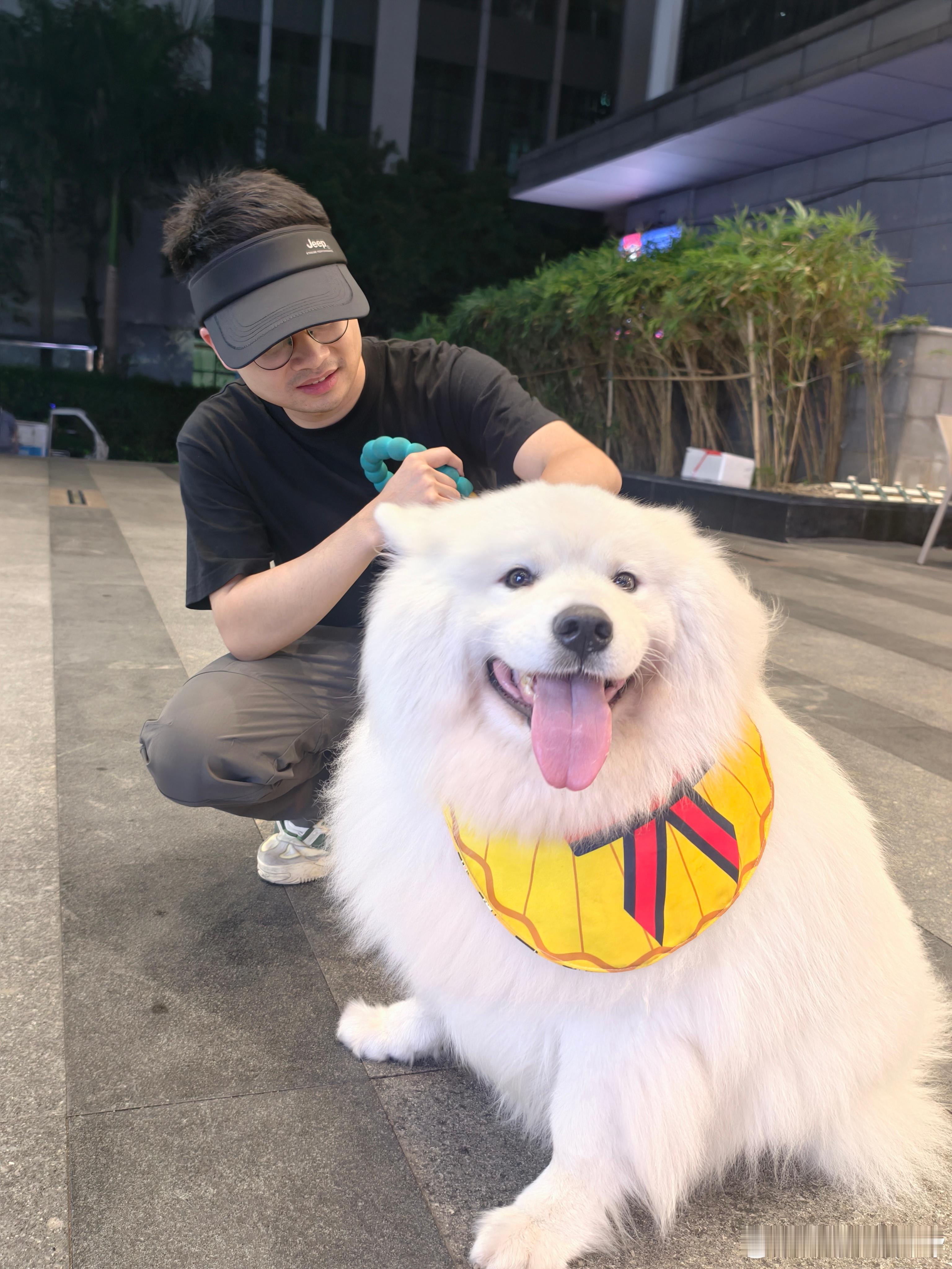 今日份遛狗[捂眼睛][捂眼睛][捂眼睛]萨摩耶真的是微笑天使，太治愈了哈哈哈，可惜他不喜欢我
