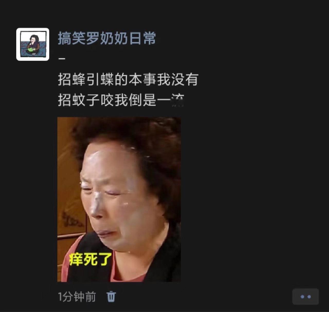 平等的憎恨每一只蚊子​​​