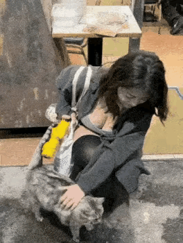 这大猫咪也太可爱了吧，白白的猫咪