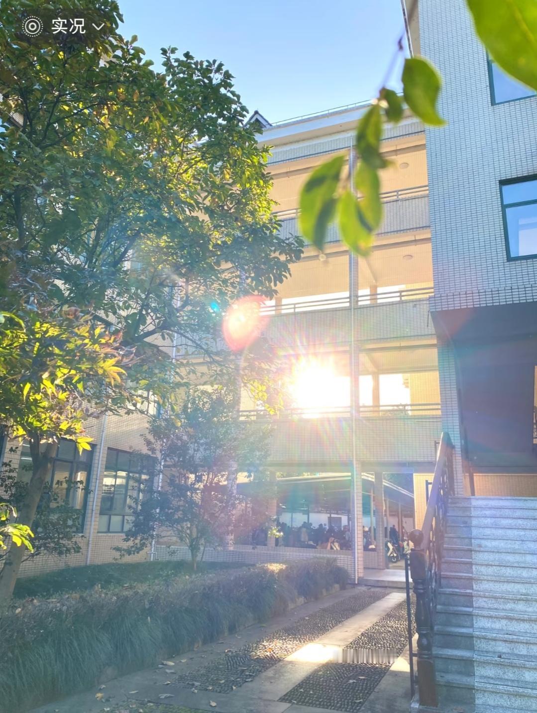 别让大学，把你困在温室里上周跟一位学长聊天，他说了句特别扎心的话：现在的