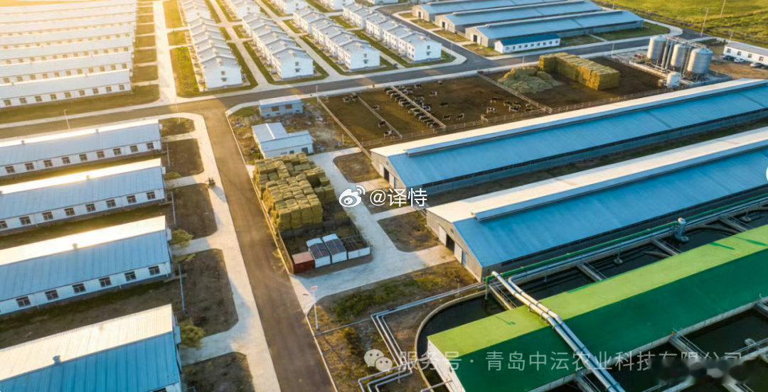 总说青岛发展越来越好，风景宜人宜居，深挖产业才发现农业立下大功，两条千亿级产业链