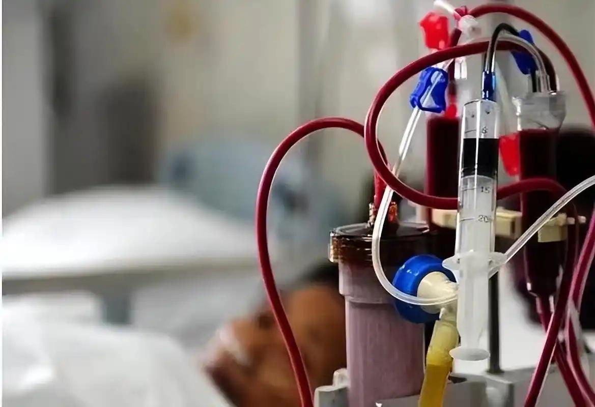 怕肾病熬成尿毒症？盯紧这5个关键，别踩雷 天天琢磨“补肾”的人，咋反